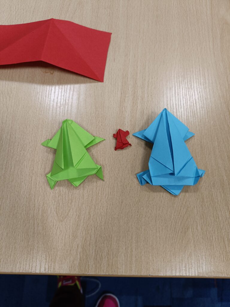 IMG20250228134017